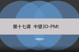 功能教程17：PMI